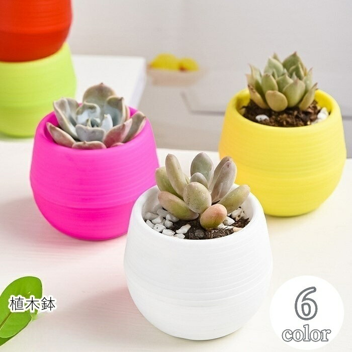 玻璃花盆 - 送料無料 植木鉢 フラワーポット 生活雑貨 ガーデニング ミニサイズ 卓上サイズ 手のひらサイズ 多肉植物 サボテン 観葉植物 無地 ホワイト グリーン ブルー シンプル カジュアル かわいい キュート ポップ