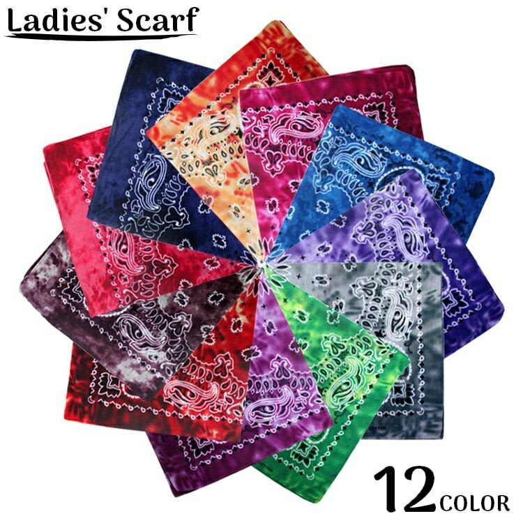 ����̵�� �������� ��ǥ����� ������ 55cm�� ������ �ͳ� �������� �Хå��������� �Х���� �ץ��� �ץ쥼��� ���ե� £��ʪ