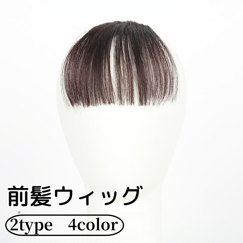 送料無料 前髪ウィッグ 部分 レディース ファッション小物 クリップタイプ ブラック ブラウン ボリュームカバー ヘアアレンジ
