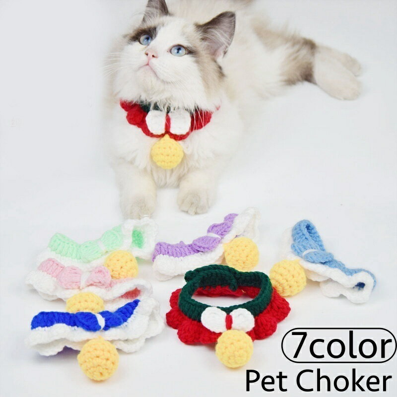 ����̵�� ���硼���� ����� ���� ǭ�� �ڥå��� ���������꡼ �˥å� ���Ԥ��� �ݥ�ݥ� ��ܥ� ����ե� �İ��� ������� ���ᤫ�� �ڥåȥ��å�