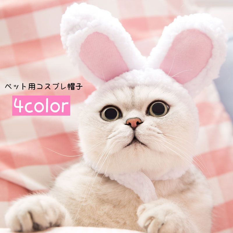 ����̵�� �ڥå��ѥ����ץ�˹�� �������塼�� ���֤�ʪ �ڥå����� ǭ�� ���� ������ ������ ������ �⤳�⤳ �դ�դ� ���襤�� ��ˡ��� �ܥ� ���٥�� ...