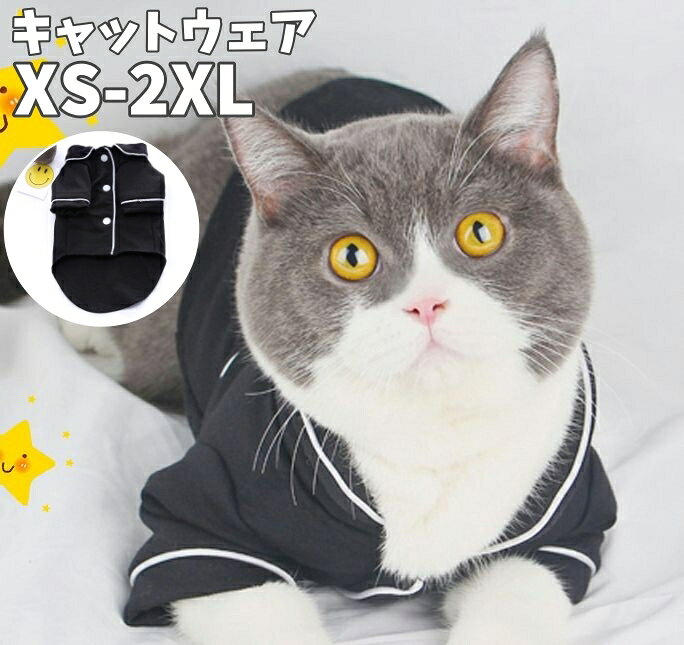 ����̵�� ����åȥ����� �ڥåȥ����� �ѥ���� ǭ�� ǭ���� �롼�०���� �ȥåץ� ����� ̵�� µ���� ���դ� ���ܥ��� ���襤�� �ڥå����� ������ ��...