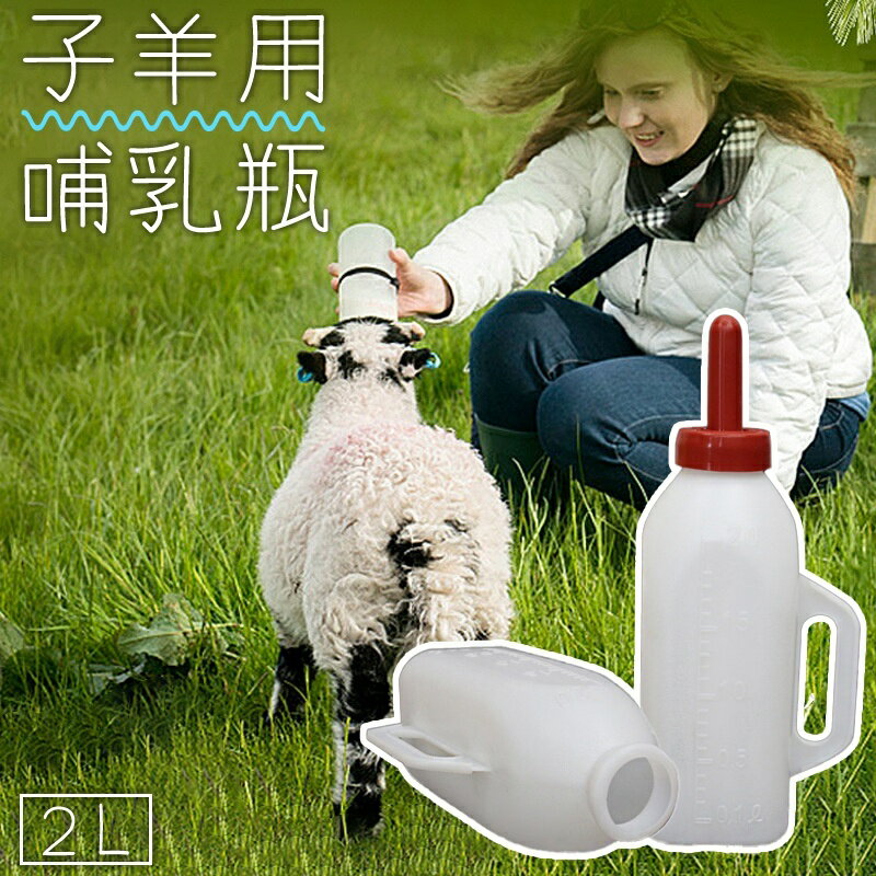 送料無料 子羊用哺乳瓶 哺乳器 動物用 ヒツジ ヤギ 子羊 仔山羊 2L 乳首付き 持ち手付き 人工哺乳 哺育 保育 飼育 ミルク ボトル ほ乳瓶
