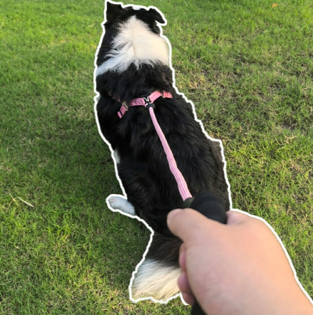 送料無料 ハーネス リード 2点セット 犬用 ペット用品 胴輪 散歩紐 リーシュ グリ...