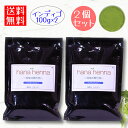 ハナヘナhana henna ヘナ インディゴ 100g×2個（200g） ブルー / 白髪染め 白髪染 白髪 染髪 ヘアカラー ヘナカラー ヘア カラー ヘナパウダー トリートメントヘアカラー 白髪隠し ノンジアミン 無添加 トリートメントカラー ヘンナ 2袋