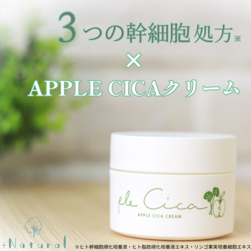 【10％OFFクーポン！4400円→3960円】 2種 ヒト幹細胞 × リンゴ幹細胞 × CICA × スピキュール 配合 【プルシカ】シカクリーム ぷるしか 無添加 日本製 cicaクリーム パック 高保湿 フェイスクリーム クリーム 美容液 ツボクサ 針クリーム ヒト幹細胞培養液