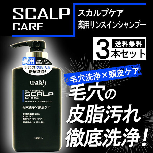 毛穴洗浄×頭皮ケア！スカルプ薬用リンスインシャンプー本体 3本セット【送料無料】[医薬部外品]