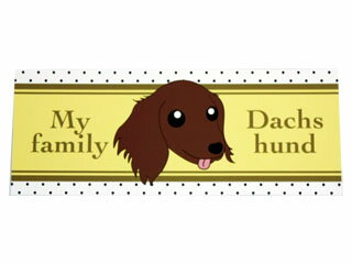 �ɥå��ޥ��ͥåȡ����å�����åɡ���������ꥫ�顼�����򲼤�����