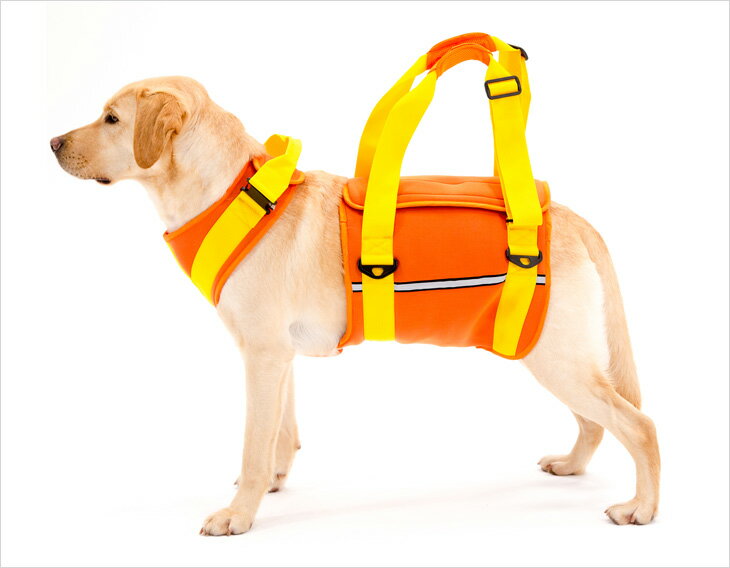 ララウォーク 歩行補助ハーネス 大型犬用 ネオプレーンオレンジ [販売元在庫にて終売][お取り寄せ] その1