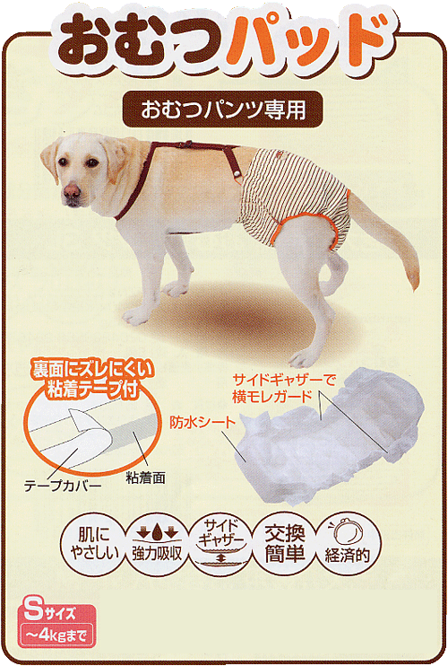 �ڥƥ�����Ϸ������Ѥ���ĥѥå�30��������M��