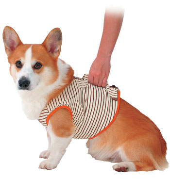 �ڥƥ�����Ϸ������������ǽ�ե٥��ȡ���L��