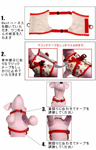 [LAMZY]����ॸ�����������ĥХ�����BEST�ϡ��ͥ�