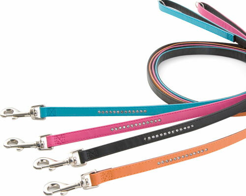 �����������ȥ�Υ꡼�ɡ���2S��