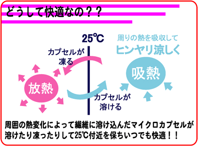 �ɥ����������� �ץ�󥻥������륭��ߡ��ԥ�