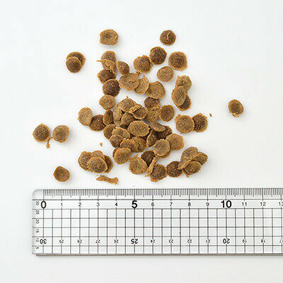 [Yum Yum Yum！]　やわらかドライ　シニア＆ライト　チキン　800g（80g×10袋）