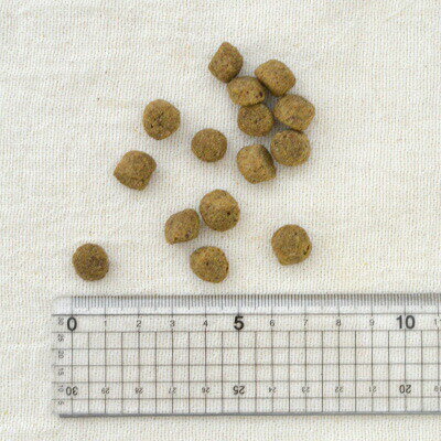 �ʥ��ե�å��� ���쥤��ե꡼��������ȡ���9.98kg��