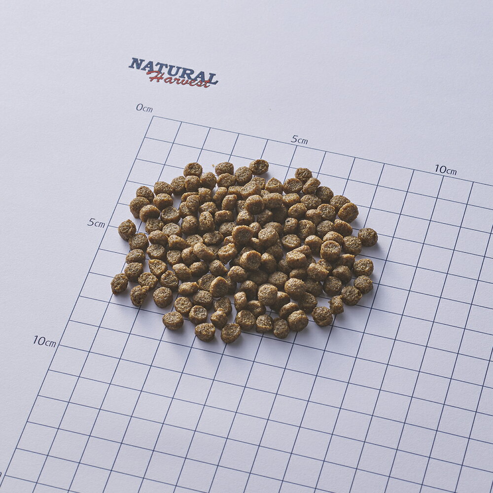 [ナチュラルハーベスト] セラピューティックフォーミュラ キドニア　1.1kg 2