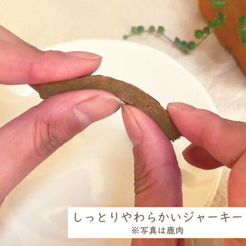 きなり　しっとりやわらかジャーキー　ささみ　6本入り個包装（全犬種用）