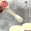 【 1000円ポッキリ 送料無料 】 アイススプーン アイスクリームスプーン アイス スプーン おしゃれ 熱 伝導 アイスが溶けるスプーン 新幹線 プチギフト 誕生日 プレゼント アルミ製