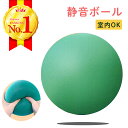 【楽天 4冠！】 ボール 室内 子供 静