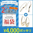 【2点選べる福袋専用チケット】 専用ピアス 金属アレルギー 【送料無料】アレルギーフリー ピアス 対象商品からお好きな2点を選べる福袋 専用