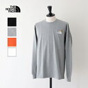 ザ・ノース・フェイス ロングスリーブズーピッカーティー (NT32440) L/S Zoo Picker Tee THE NORTH FACE(メンズ)*送料無...