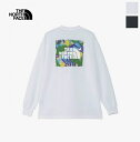 ザ・ノース・フェイス ロングスリーブTNFバグフリーティー (NTW12450) L/S TNF Bug Free Tee THE NORTH FACE(レディース) *送料無料*【後払い決済不可】【ポイント10倍】期間限定 6/22 20:00~6/27 1:59