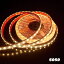 ץ̵͡LEDơ 5050 (ꥳ塼) DC12V 5m 60LEDs/m ̵ BINɴ