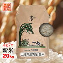 【予約販売:25年10月上旬より発送予定】白米 新米 令和7年産 山形県 庄内産 20kg つや姫 はえぬき 雪若丸 ひとめぼれ お米 米 ご飯 当日精米 受注後精米 庄内平野 特別栽培農法 石垣農園 正規取扱店 大地の恵み