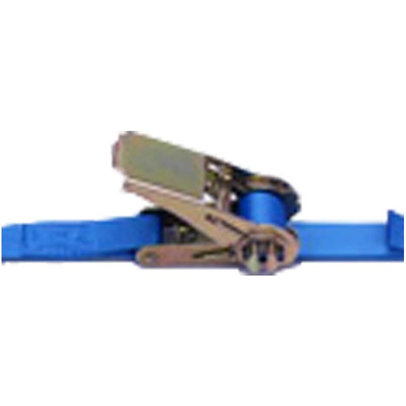 ベルト荷締機 ラッシングベルト ラチェットバックル式 R05 アイタイプ E010-030 ベルト幅25mm 固定1m 調整3m 梱包 輸送資材 テザック アミ 代引不可