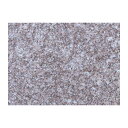 石材タイル 御影石平板 G309 10枚 300×600×13 228-D 中国産 荷受リフト必須 建築用壁材 床材 ドリーム壁材 アM 代引不可 個人宅配送不...