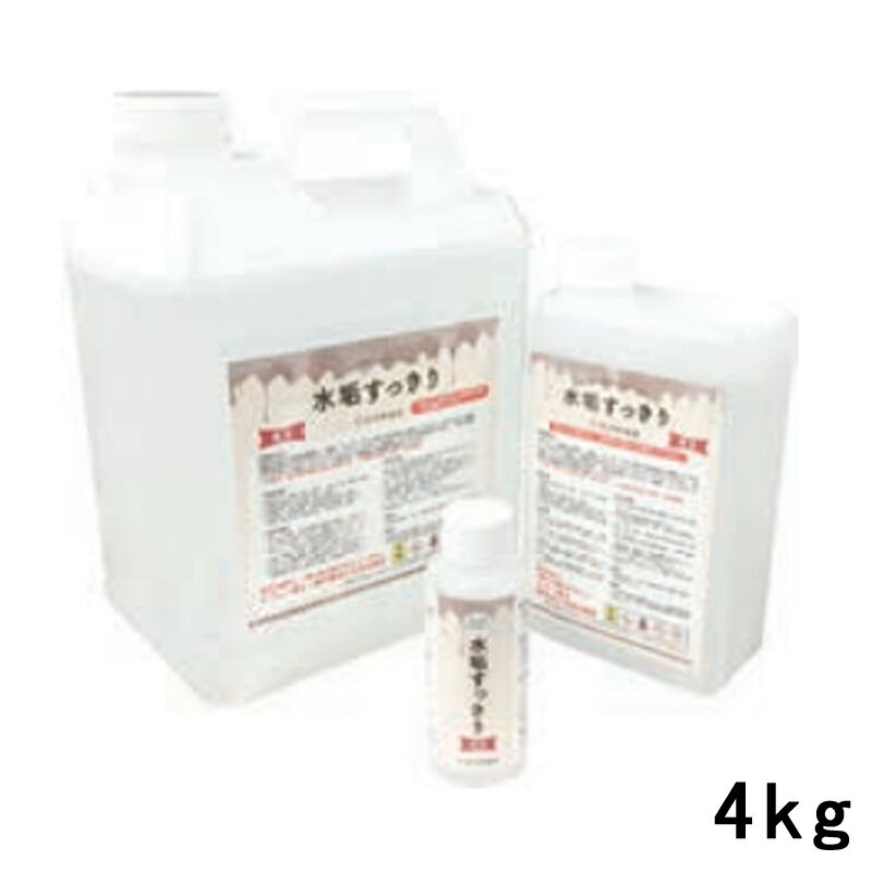 Rakuten - 水垢スッキリ 4kg 20001012 お墓 お寺 神社 墓前 お葬式 K商 代引不可