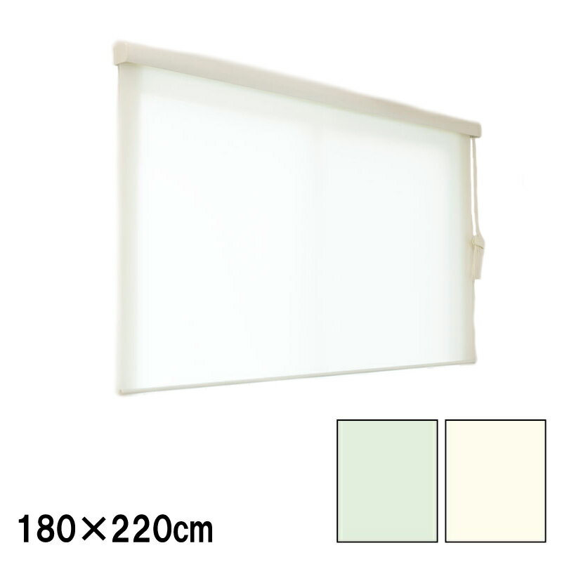 ロールスクリーン エクシブ プレーンタイプ 無地 幅x高さ 180×220cm カラー2種類 ブラインド 簡単取付 フルネス Lク 代引不可