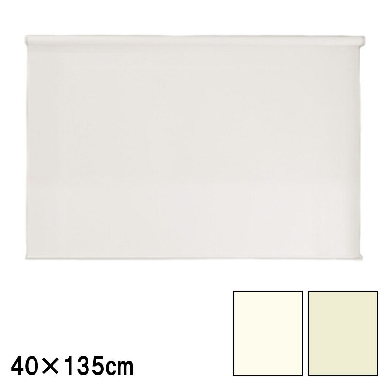ロールスクリーン エクシブ 防炎タイプ 無地 幅x高さ 遮光 45×135cm カラー2種類 ブラインド 簡単取付 フルネス Lク 代引不可