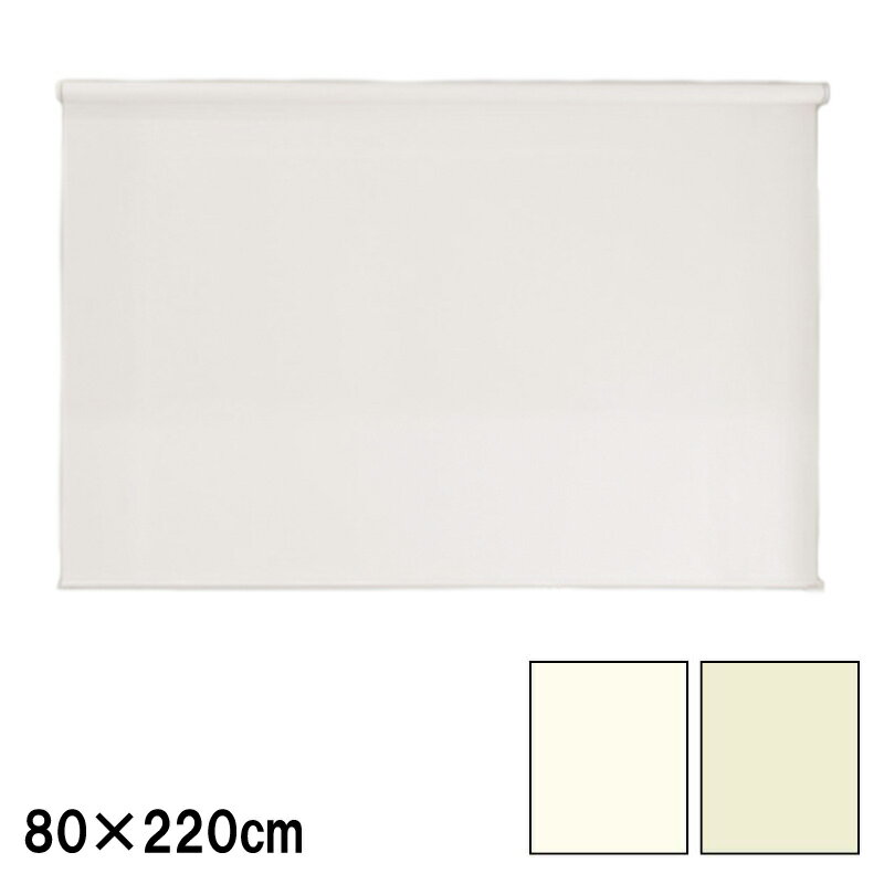 ロールスクリーン エクシブ 防炎タイプ 無地 幅x高さ 遮光 80×220cm カラー2種類 ブラインド 簡単取付 フルネス Lク 代引不可
