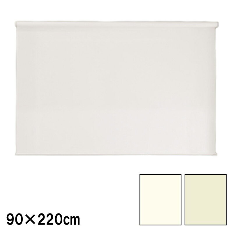 ロールスクリーン エクシブ 防炎タイプ 無地 幅x高さ 遮光 90×220cm カラー2種類 ブラインド 簡単取付 フルネス Lク 代引不可