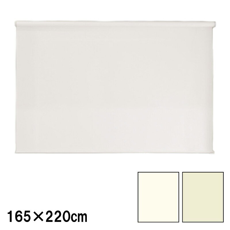 ロールスクリーン エクシブ 防炎タイプ 無地 幅x高さ 遮光 165×220cm カラー2種類 ブラインド 簡単取付 フルネス Lク 代引不可