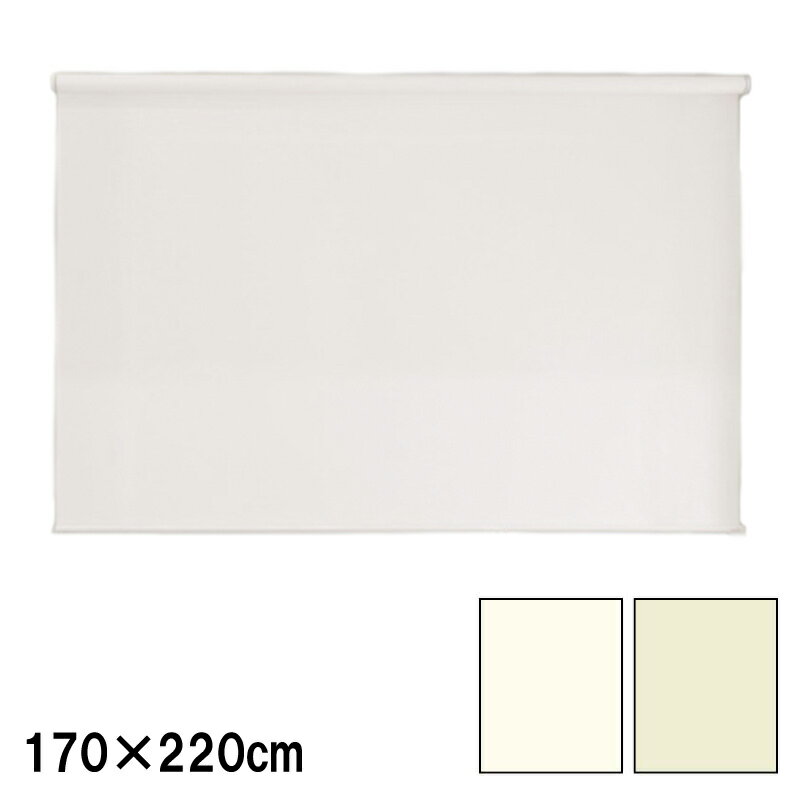 ロールスクリーン エクシブ 防炎タイプ 無地 幅x高さ 遮光 170×220cm カラー2種類 ブラインド 簡単取付 フルネス Lク 代引不可