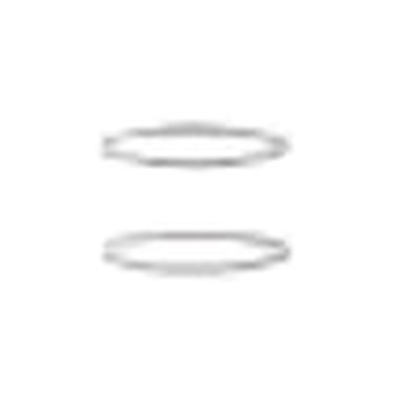 部品 スクリーンフィルター スクリーン用〇リング 2枚 FZ-1750-4 スプリンクラー 水まき ノズル 交換用..