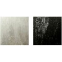 カッティングシート 3M ダイノック フィルム AEシリーズ AE-2154 AE-2155 メタル 幅1,220mm 2色 耐久 耐水 防火 ロングライフ 10cm単位切売 Lク 代引不可