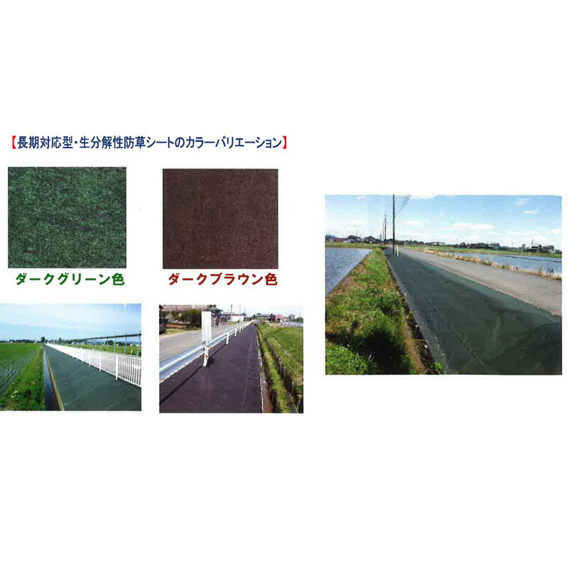 ���� ���𥷡��� C-3 ���������꡼�� 8�� 0.5x50m �ѵ�ǯ����10ǯ ����ǽ ���� �˥塼�ޥå� PET���� Ʃ���� ë������ ��B ����Բ� �Ŀ��������Բ�