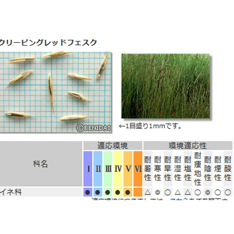 芝 草 種 クリーピングレッドフェスク 種 1kg 種のみの販売 侵食防止 緑化 法面 種...