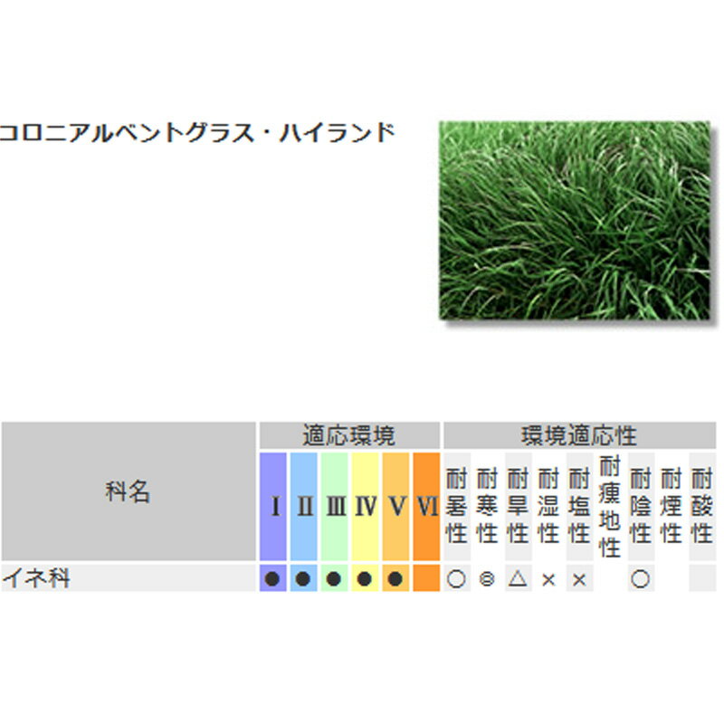芝 草 種 ハイランド コロニアルベントグラス類 種 1kg 種のみの販売 侵食防止 緑...