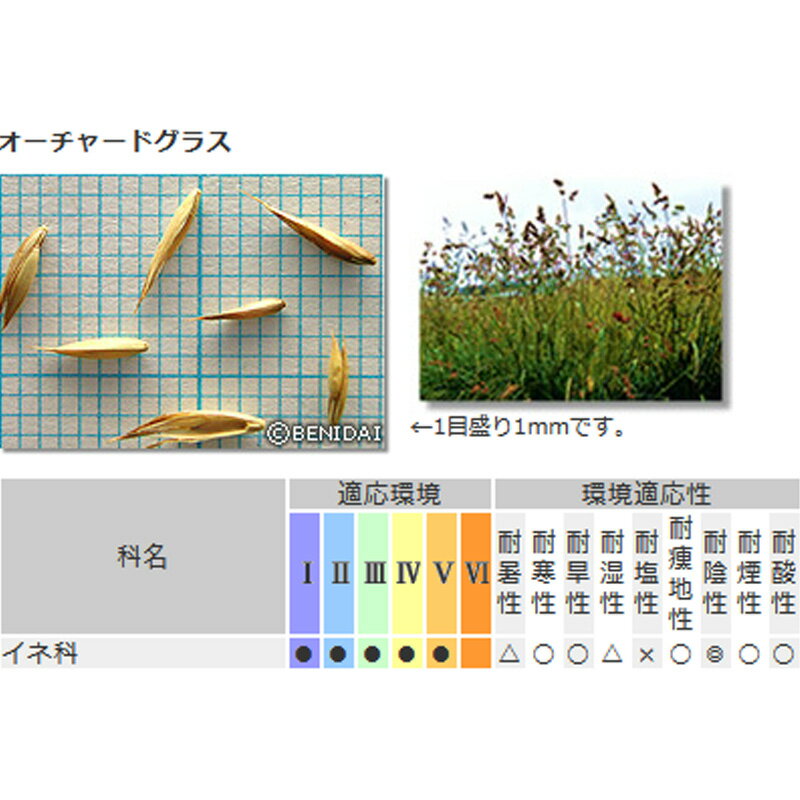 芝 草 種 オーチャードグラス コロニアルベントグラス類 種 1kg 種のみの販売 侵食...