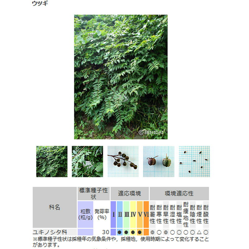 緑化用 草本 ウツギ 日本産 種 100g 種のみの販売 侵食防止 緑化 法面 種子 紅大 ...