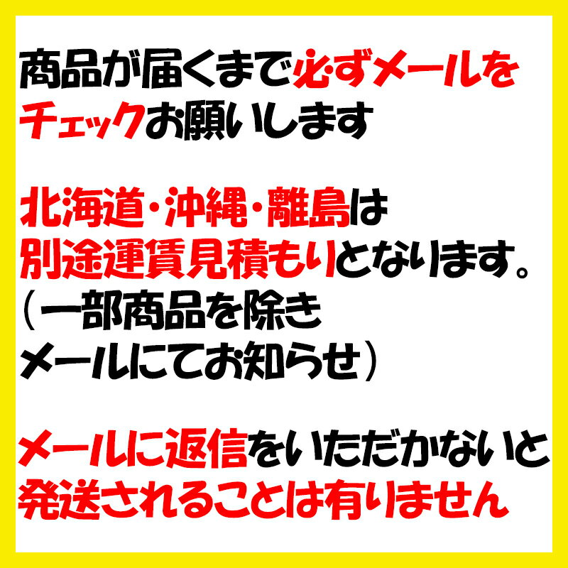 ハゼ折二重煙突 黒耐熱 直筒 φ106 No.12770 1119 ホンマ製作所H 3