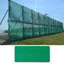 防砂ネット Sネット 1x10m 四方ハトメ 50cmP グリーン 盛土 飛散防止 防風ネットとしても ラッセル編み トスコ カ施 代引不可 九州 沖縄 離島発送不可