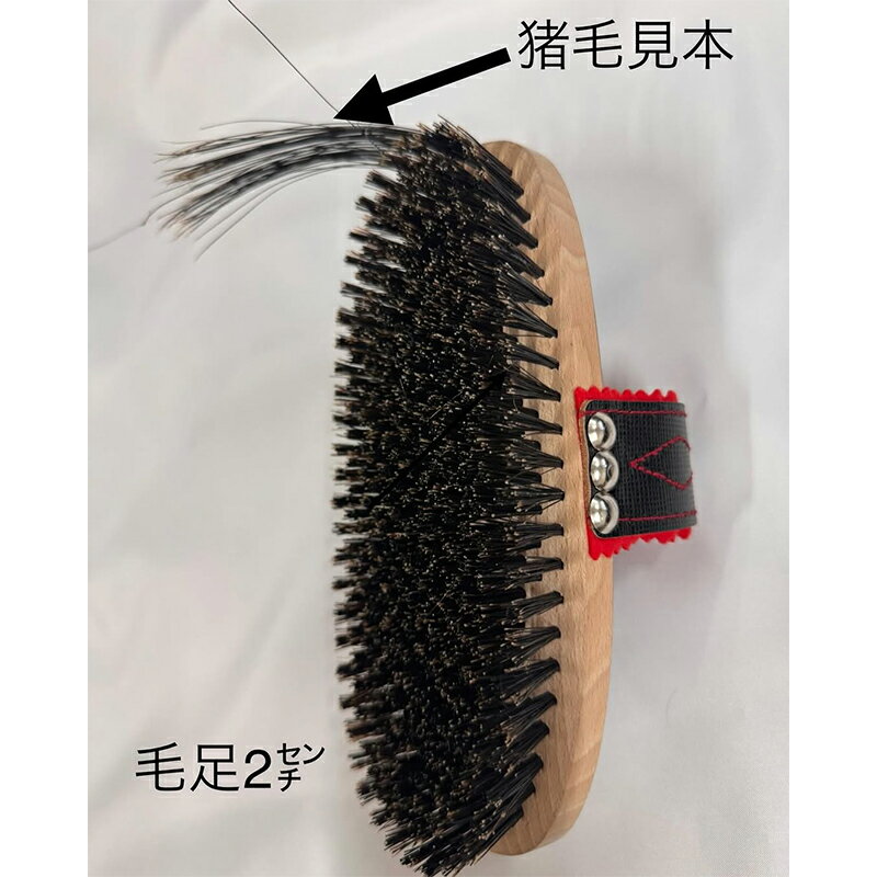 �µ����ӥ֥饷 ��� 8.5x20.5 ����100% ������ ������ ������ �µ� �ܻ���� ��B ����Բ�