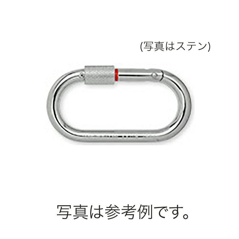 カラビナ 10個入 KA10R-S カラーマーク ステン 連結金具 カラーリングで容易確認 レスキュー 産業用 登山 ツリークライミング 123 伊藤製作所 アミD