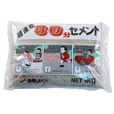 超速乾30分セメント 1kg グレー 10個入 急速硬化 セメントモルタル DIY 簡単施工 補修 家庭化学工業 清水 代引不可 個人宅配送不可